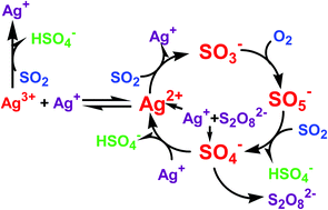 Graphical abstract: Kinetics of the autoxidation of sulfur(iv) co-catalyzed by peroxodisulfate and silver(i) ions