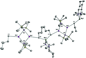 Graphical abstract: Complexity in seemingly simple sodium magnesiate systems