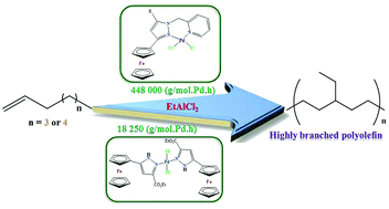 Graphical abstract: Ferrocenylpyrazolyl palladium complexes as catalysts for the polymerisation of 1-heptene and 1-octene to highly branched polyolefins