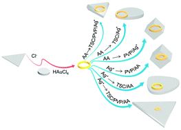 Graphical abstract: Shape evolution of Au nanoring@Ag core–shell nanostructures: diversity from a sole seed