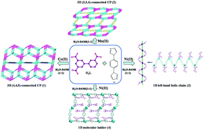 Graphical abstract: Metal ions and solvents ratio co-regulate four new magnetic coordination polymers based upon an unsymmetric tricarboxylate acid ligand