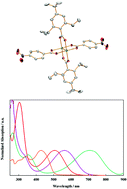 Graphical abstract: 4-Nitrophenyl- and 4′-nitro-1,1′-biphenyl-4-carboxylates attached to Mo2 quadruple bonds: ground versus excited state M2δ–ligand conjugation