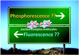 Graphical abstract: An insight into fluorescent transition metal complexes