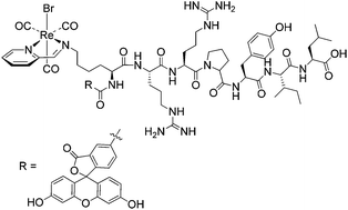 Graphical abstract: Facile solid phase peptide synthesis with a Re-lysine conjugate generated via a one-pot procedure