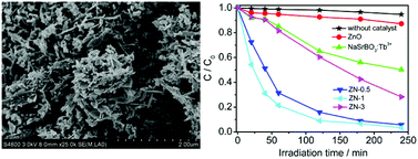 Graphical abstract: Enhanced visible light photocatalytic activity of ZnO doped with down-conversion NaSrBO3:Tb3+ phosphors