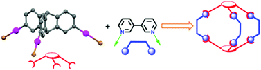 Graphical abstract: Triptycene based organometallic complexes: a new class of acceptor synthons for supramolecular ensembles