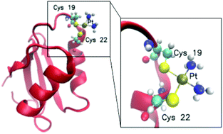 Graphical abstract: Platination of the copper transporter ATP7A involved in anticancer drug resistance