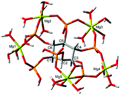 Graphical abstract: Coordination, microprotonation equilibria and conformational changes of myo-inositol hexakisphosphate with pertinence to its biological function