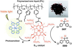 Graphical abstract: A polymerized ionic liquid-supported B12 catalyst with a ruthenium trisbipyridine photosensitizer for photocatalytic dechlorination in ionic liquids