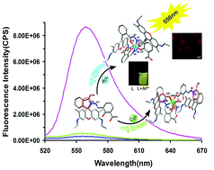 Graphical abstract: A new fluorescent probe for Al3+ based on rhodamine 6G and its application to bioimaging