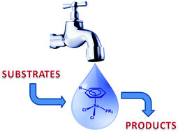 Graphical abstract: Arene-ruthenium(ii) complexes with hydrophilic P-donor ligands: versatile catalysts in aqueous media