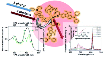 Graphical abstract: Two-photon sensitized visible and near-IR luminescence of lanthanide complexes using a fluorene-based donor–π-acceptor diketonate