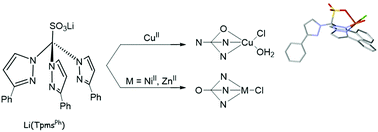Graphical abstract: NiII, CuII and ZnII complexes with a sterically hindered scorpionate ligand (TpmsPh) and catalytic application in the diasteroselective nitroaldol (Henry) reaction