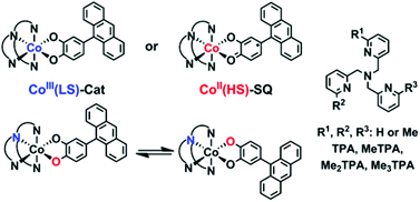 Graphical abstract: Synthesis, magnetic properties and dynamic behavior of cobalt complexes with an anthracene-containing dioxolene ligand