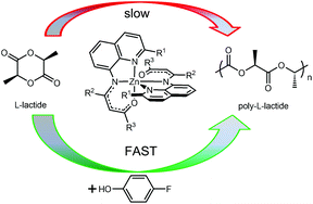 Graphical abstract: Synthesis and structures of bis-ligated zinc complexes supported by tridentate ketoimines that initiate l-lactide polymerization