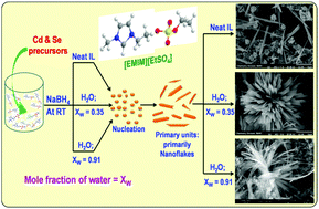 Graphical abstract: The role of structural and fluidic aspects of room temperature ionic liquids in influencing the morphology of CdSe nano/microstructures grown in situ