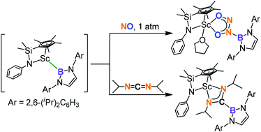 Half-sandwich scandium boryl complexes bearing a silylene-linked ...