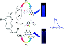Graphical abstract: New members of fluorescent 1,8-naphthyridine-based BF2 compounds: selective binding of BF2 with terminal bidentate N^N^O and N^C^O groups and tunable spectroscopy properties