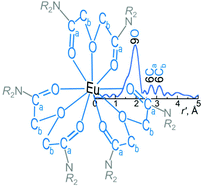 Graphical abstract: An europium(iii) diglycolamide complex: insights into the coordination chemistry of lanthanides in solvent extraction