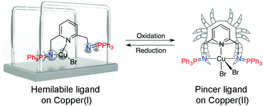 Graphical abstract: Versatile coordination chemistry of a bis(methyliminophosphoranyl)pyridine ligand on copper centres