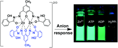 Graphical abstract: A binuclear Zn(ii)–Zn(ii) complex from a 2-hydroxybenzohydrazide-derived Schiff base for selective detection of pyrophosphate