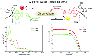 Graphical abstract: A distinguishable photovoltaic performance on dye-sensitized solar cells using ruthenium sensitizers with a pair of isomeric ancillary ligands