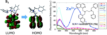 Graphical abstract: Zinc-specific intramolecular excimer formation in TQEN derivatives: fluorescence and zinc binding properties of TPEN-based hexadentate ligands