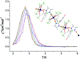 Graphical abstract: Slow magnetic relaxation and field-induced metamagnetism in nitronyl nitroxide-Dy(iii) magnetic chains