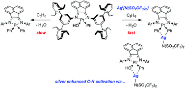 Graphical abstract: Silver ion enhanced C–H activation in Pt(ii) hydroxo complexes