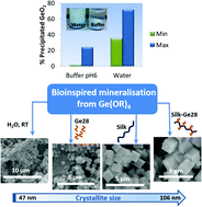 Graphical abstract: Preparation of hexagonal GeO2 particles with particle size and crystallinity controlled by peptides, silk and silk-peptide chimeras