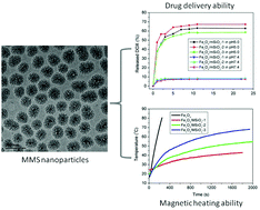 Graphical abstract: Magnetic mesoporous silica nanoparticles for potential delivery of chemotherapeutic drugs and hyperthermia