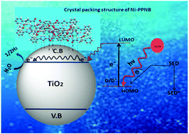 Graphical abstract: Synthesis, crystal structure and optical properties of a naphthylbisimide-Ni complex: a framework on TiO2 for visible light H2 production