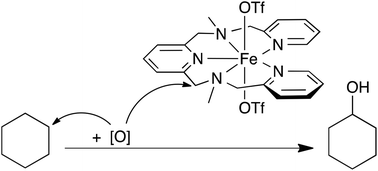 Graphical abstract: Unraveling the origins of catalyst degradation in non-heme iron-based alkane oxidation