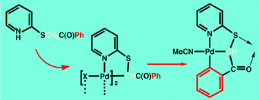 Graphical abstract: Stepwise cyclopalladation of 2-phenacylthiopyridine to give C,C,N-pincer complexes