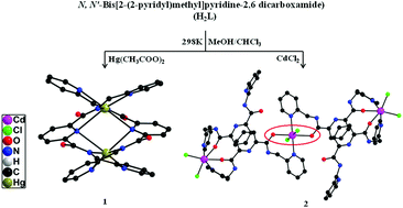 Graphical abstract: Varying coordination modes of amide ligand in group 12 Hg(ii) and Cd(ii) complexes: synthesis, crystal structure and nonlinear optical properties