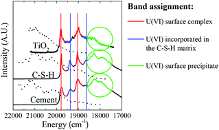 Graphical abstract: A luminescence line-narrowing spectroscopic study of the uranium(vi) interaction with cementitious materials and titanium dioxide
