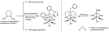 Graphical abstract: Aspects of the coordination chemistry of rac-trans-1,2-diphosphinocyclohexane and the preparation of reinforced 9aneP3 and 9anePN2 macrocycles