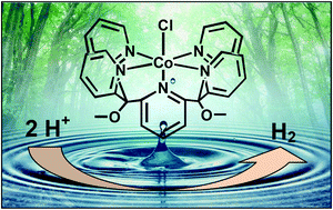 Graphical abstract: Photoinduced hydrogen evolution by a pentapyridine cobalt complex: elucidating some mechanistic aspects