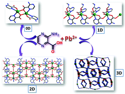 Graphical abstract: Synthesis, structure and catalytic application of lead(ii) complexes in cyanosilylation reactions