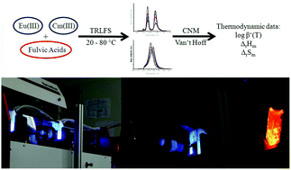 Graphical abstract: Fulvic acid complexation of Eu(iii) and Cm(iii) at elevated temperatures studied by time-resolved laser fluorescence spectroscopy