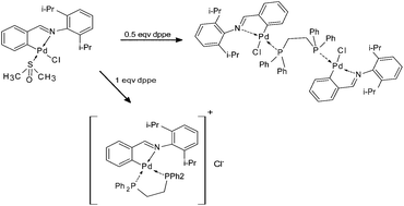 Graphical abstract: Cyclometallated platinum(ii) complexes of benzylidene-2,6-di-isopropylphenylamine containing bidentate phosphines: synthesis, structural properties and reactivity studies