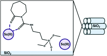 Graphical abstract: Analysis of trivalent cation complexation to functionalized mesoporous silica using solid-state NMR spectroscopy