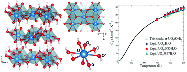 Graphical abstract: Layered uranium(vi) hydroxides: structural and thermodynamic properties of dehydrated schoepite α-UO2(OH)2