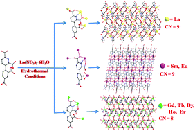 Graphical abstract: Synthesis, structure and properties of 2D lanthanide coordination polymers based on N-heterocyclic arylpolycarboxylate ligands