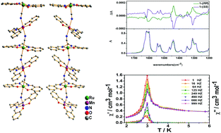 Graphical abstract: Crystal structures and magnetic properties of chiral heterobimetallic chains based on the dicyanoruthenate building block