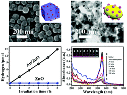Graphical abstract: Fabrication of Au/ZnO nanoparticles derived from ZIF-8 with visible light photocatalytic hydrogen production and degradation dye activities