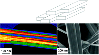 Graphical abstract: A multi-step mechanism and integrity of titanate nanoribbons