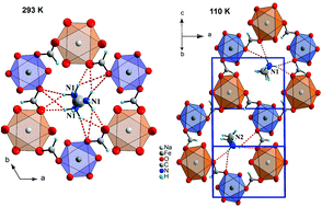 Graphical abstract: Synthesis and order–disorder transition in a novel metal formate framework of [(CH3)2NH2]Na0.5Fe0.5(HCOO)3]