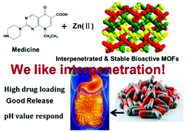 Graphical abstract: An interpenetrated bioactive nonlinear optical MOF containing a coordinated quinolone-like drug and Zn(ii) for pH-responsive release