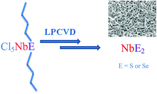 Graphical abstract: Niobium(v) and tantalum(v) halide chalcogenoether complexes – towards single source CVD precursors for ME2 thin films